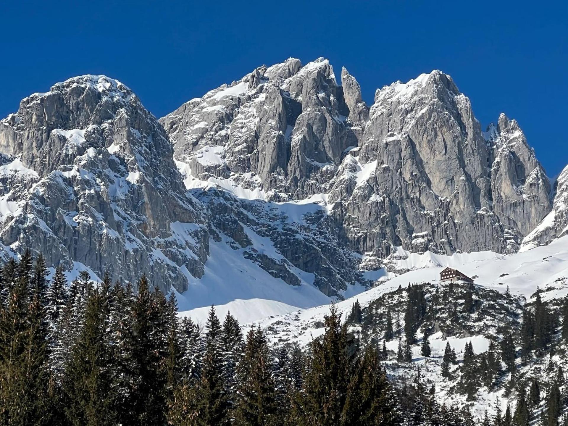 Geniessen Sie Bergblick & Sauna Im Modernen Chalet Going am Wilden Kaiser Extérieur photo