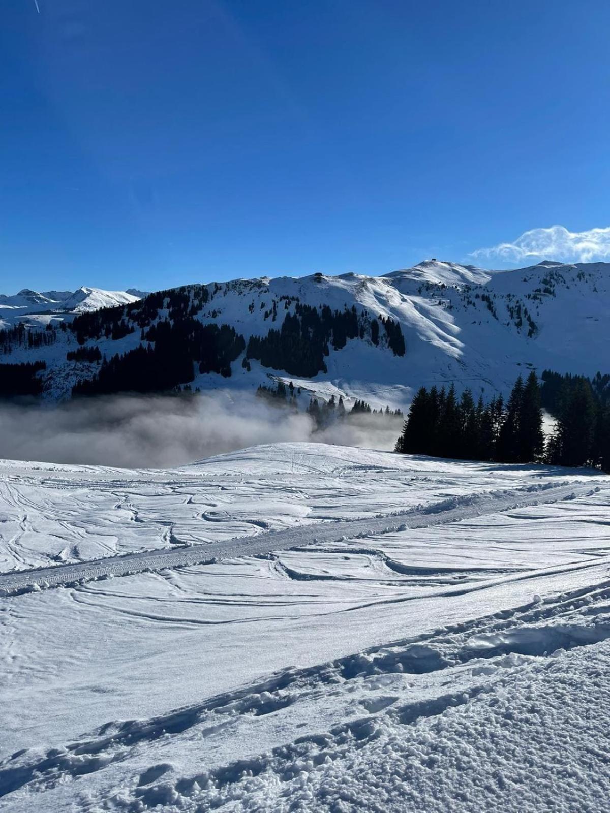 Geniessen Sie Bergblick & Sauna Im Modernen Chalet Going am Wilden Kaiser Extérieur photo